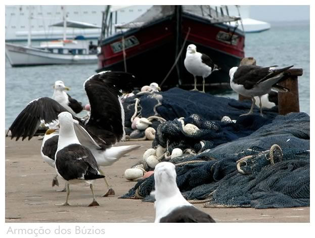 Turismo en America Latina -  7 noches Buzios - Hotel Buzios Beach Resort - Búzios